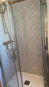 y baño con ducha y puerta de cristal. en Apartamento Bubal, en Panticosa