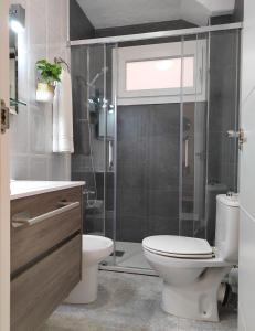 Apartamento Santa Pola في سانتا بولا: حمام مع مرحاض ودش زجاجي
