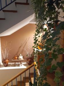 eine Treppe mit Topfpflanzen und einem Tisch in der Unterkunft Lagunas de Urbión in Molinos de Duero