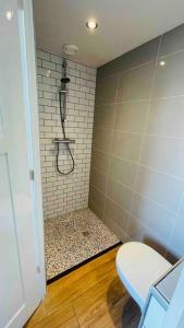 a bathroom with a shower and a toilet at The Birdhouse, Tiny home close to the beach in Noordwijk aan Zee