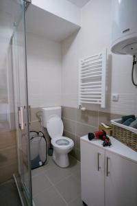 un bagno con un water bianco e un lavandino di Ana Kraljevo a Kraljevo Altre 37 foto