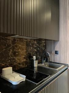 a kitchen with a sink and a counter top at Woodside Kopaonik & SPA by Slopeview in Kopaonik