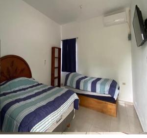 Emiliano Zapata的住宿－Casa Grace，一间卧室设有两张床和窗户。