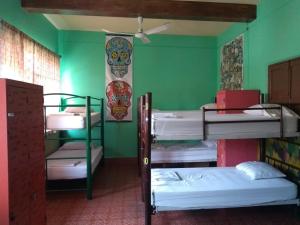 una camera con 3 letti a castello e pareti verdi di Casa Kraken Hostel a Puerto Vallarta