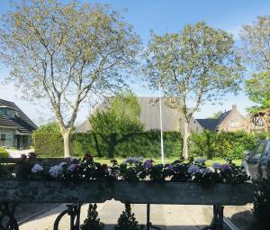 um plantador cheio de flores roxas e roxas em De Fryske Wyn em Ferwerd