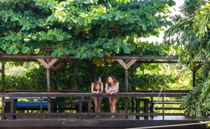 Ospiti di Mango Inn Resort