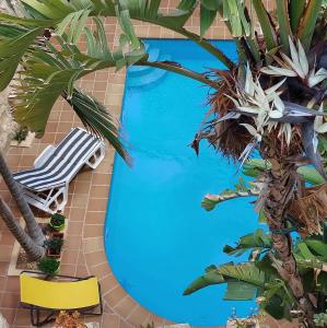 - une piscine avec une chaise et des palmiers dans l'établissement Haven Farmhouse With Private Pool, à L-Għarb