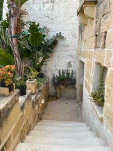 Une allée avec des plantes en pot et un mur en pierre dans l'établissement Haven Farmhouse With Private Pool, à L-Għarb