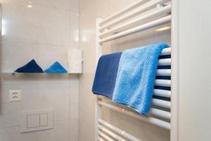 a bathroom with a blue towel on a towel rack at Chesa Quadrella in Pontresina