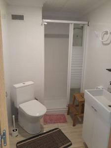 un baño con inodoro y lavabo en Piso por la Plaza Sol con WiFi, en Alicante