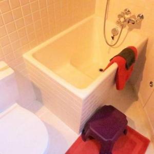 bagno con servizi igienici e vasca con pistola giocattolo di Chesa Linaira a Pontresina