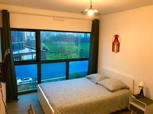 リールにあるLe Pacific Lille Euralilleのベッドルーム1室(ベッド1台、大きな窓付)