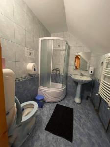 y baño con ducha, aseo y lavamanos. en Vila Maria Dambovicioara, en Dîmbovicioara