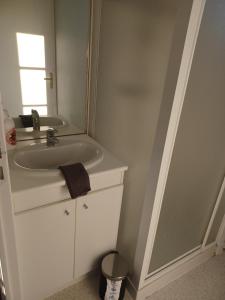 y baño con lavabo y espejo. en Joli Appartement avec vue sur la Baie, en Avranches