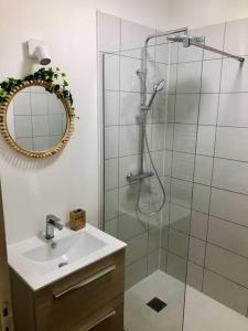 W łazience znajduje się prysznic, umywalka i lustro. w obiekcie Appartement au cœur du centre historique w mieście Bergerac