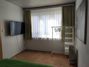 a room with a bed and a tv and a window at Vintage Apartment in Graz