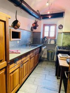 a large kitchen with wooden cabinets and a sink at Chasa Gertz 12-Bett Chasa Engiadina in Sent