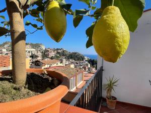 a lemon tree with a view of a city at Bella Tao in Taormina