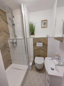 uma casa de banho com um chuveiro, um WC e um lavatório. em Elias im Landhausstil em Bayreuth
