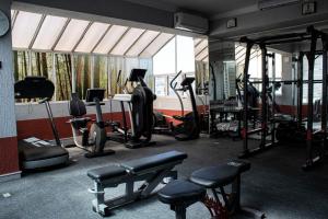 einen Fitnessraum mit Laufbändern und Trainingsgeräten in einem Zimmer in der Unterkunft HOTEL LAGOS INN in Lagos de Moreno