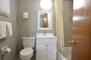 a bathroom with a toilet and a sink and a mirror at Travelowes Motel - Maggie Valley in Maggie Valley +69 photos