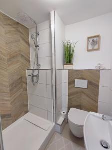 uma casa de banho com um chuveiro, um WC e um lavatório. em Elias im Landhausstil em Bayreuth