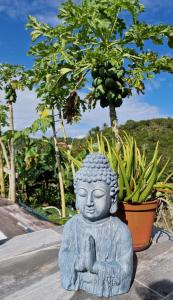 a statue of a buddha in front of a tree at Maison Jean in Le Gosier