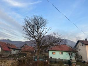 a tree in the middle of a village with houses at Apartmani Piramida Mjeseca i Sunca in Visoko