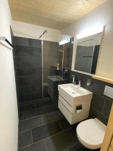 uma casa de banho com um lavatório, um WC e um chuveiro em Ferienhaus Lumnezia Lux em Cumbels