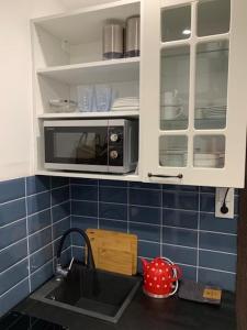 uma cozinha com um lavatório e um micro-ondas em BELLA BLU em Opole
