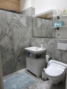een badkamer met een wastafel en een toilet bij Haus Melissa in Wildhaus