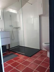 ein Badezimmer mit Dusche und Toilette in der Unterkunft Petite maison type Loft en plein bourg d'Ambazac in Ambazac