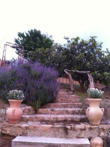 a set of stairs with purple flowers and vases at A FATA DI L'ORTOLO gîtes à la ferme in Sartène