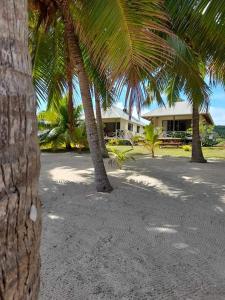 2 palmiers sur une plage avec une maison dans l'établissement Paparei Beachfront Bungalows, Aitutaki, à Arutanga