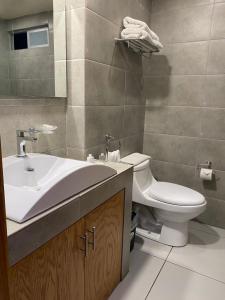La salle de bains est pourvue d'un lavabo et de toilettes. dans l'établissement Hotel & Suites Victoria, à San Luis Potosí