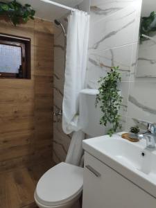 ein Badezimmer mit einem weißen WC und einem Waschbecken in der Unterkunft SAMI APARTMAN in Niš