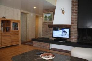 a living room with a fireplace and a tv at Casa Uccello in Wildhaus