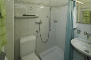 een badkamer met een douche, een toilet en een wastafel bij Casa Thuja in Ascona