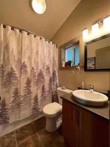 a bathroom with a toilet and a sink and a shower curtain at Cozy Corner Cottage in Port Renfrew