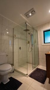 a bathroom with a glass shower with a toilet at The Jolly Poacher Retreat in Blenheim