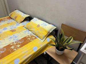 a bedroom with a bed and a table with a potted plant at House No 87A in Jaipur
