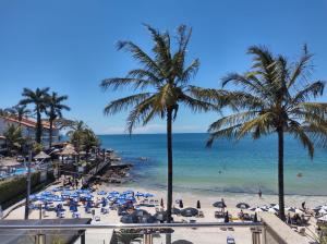 a view of a beach with palm trees and the ocean at Residencial Nereu in Bombinhas