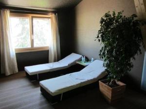 um quarto com duas camas e um vaso de plantas em schöner Aufenthalt em Le Noirmont