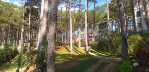 Zahrada ubytování Omirita Resort Dalat
