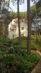 a small house in the middle of a forest at Omirita Resort Dalat in Da Lat