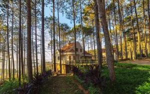 a house in the middle of a forest at Omirita Resort Dalat in Da Lat