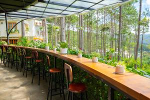 Zahrada ubytování Omirita Resort Dalat