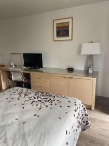TV o dispositivi per l'intrattenimento presso The Virginian Inn Moab Downtown