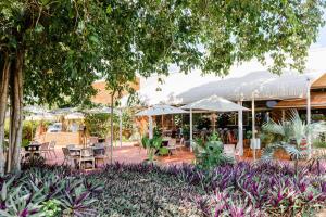 a patio with tables and chairs and umbrellas at Contour Hotel Katherine in Katherine