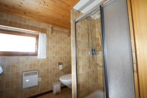 uma casa de banho com um chuveiro e um WC. em Bauernhof Hasenbüel em Sankt Peterzell